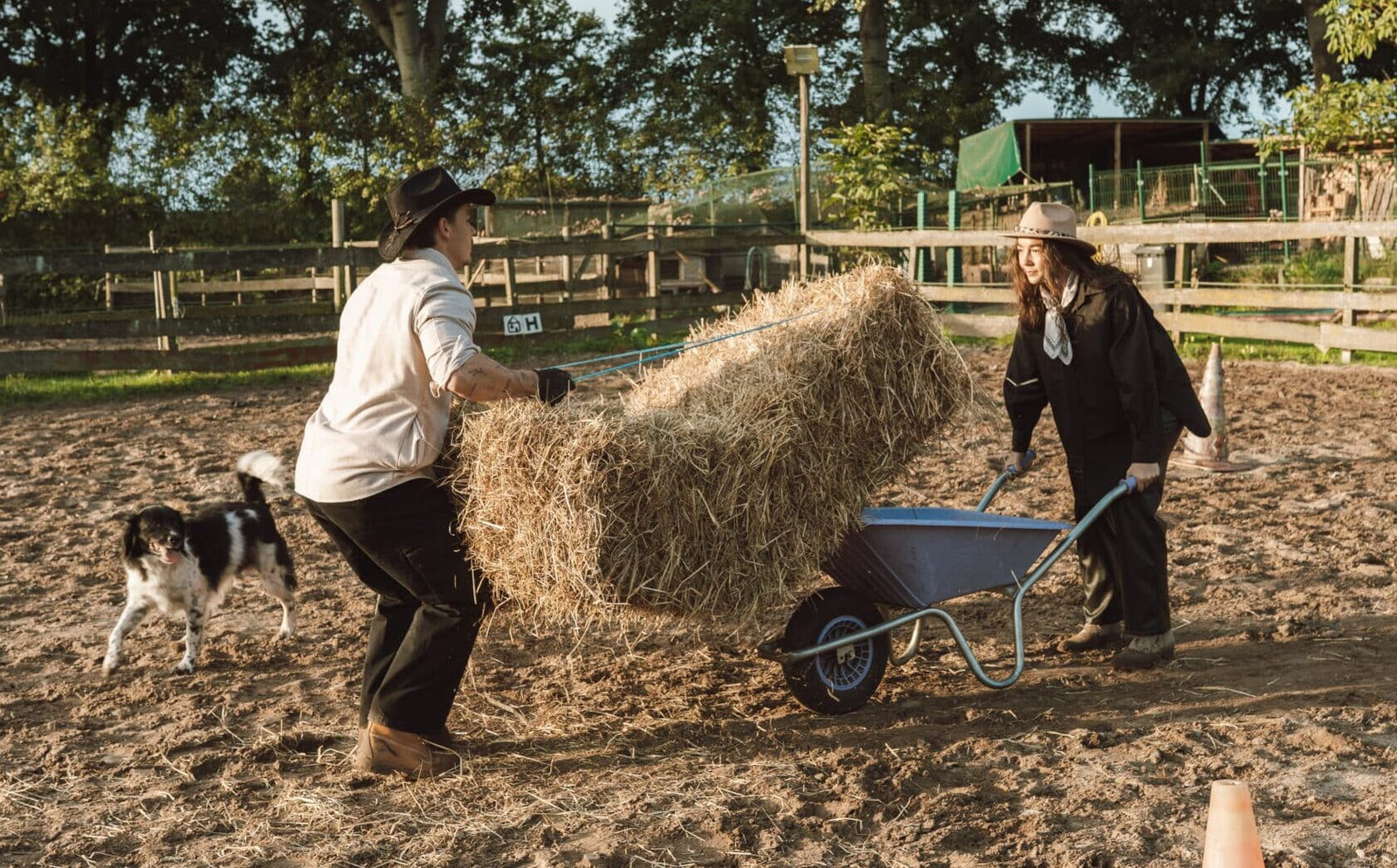 De grote invloed van vitamine D op je gezondheid